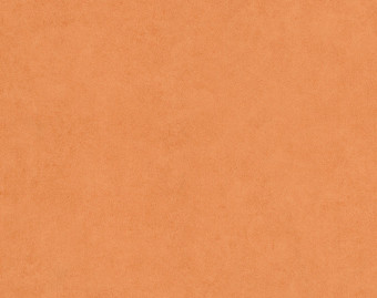 [200111120_37] Taralay Initial Compact - 0966 Miami Abricot